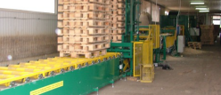 The line for pallets nailing at capacity of 300 pallets per 1 ha